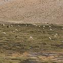 Peru 0898